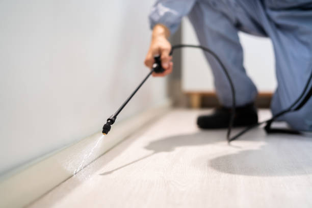 Licensed Mosquito Control service in Stockton, KS - Show Me Pest Control