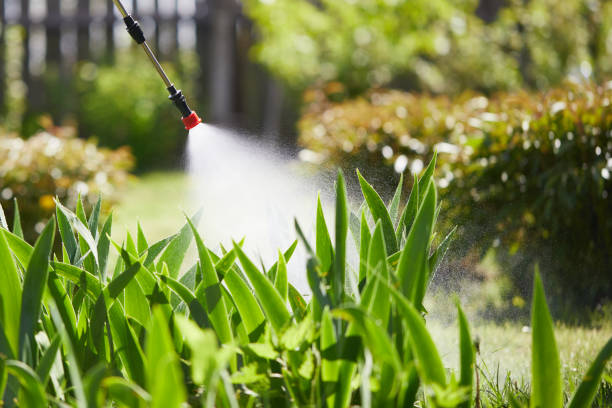 24/7 Emergency Mosquito Control experts in Stockton, KS