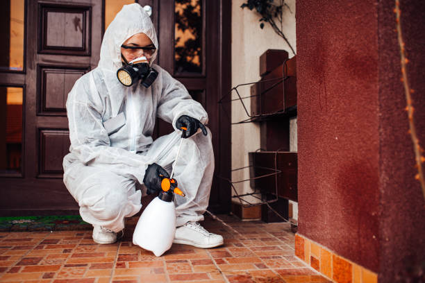 Reliable Mosquito Control contractor in Stockton, KS by Show Me Pest Control