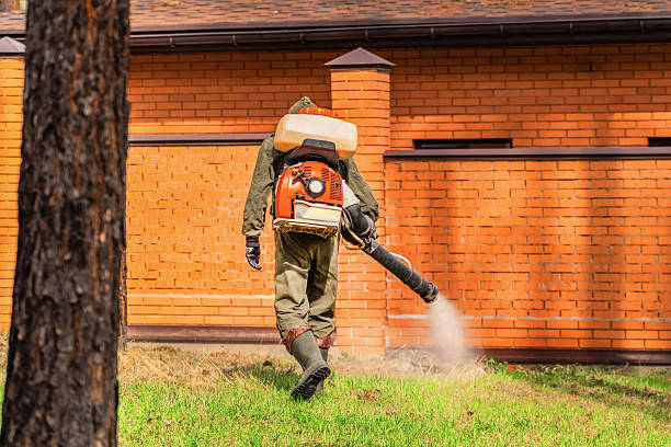 Top rated local Mosquito Control specialists in Stockton, KS